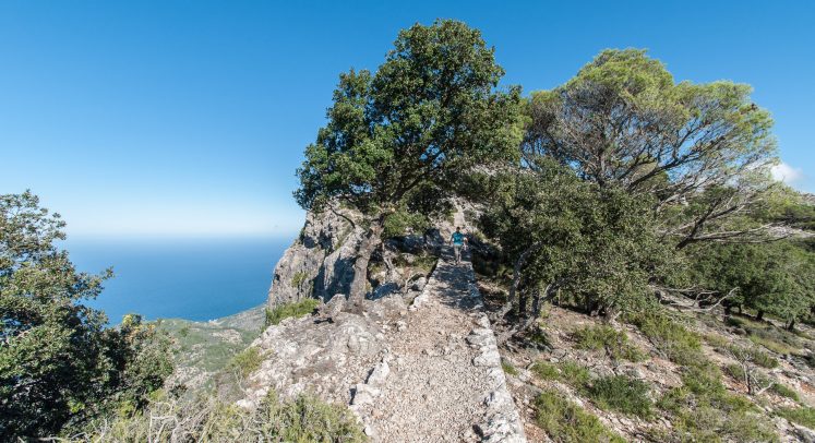 Puig Caragolí - Wanderung in den Bergen von Valdemossa
